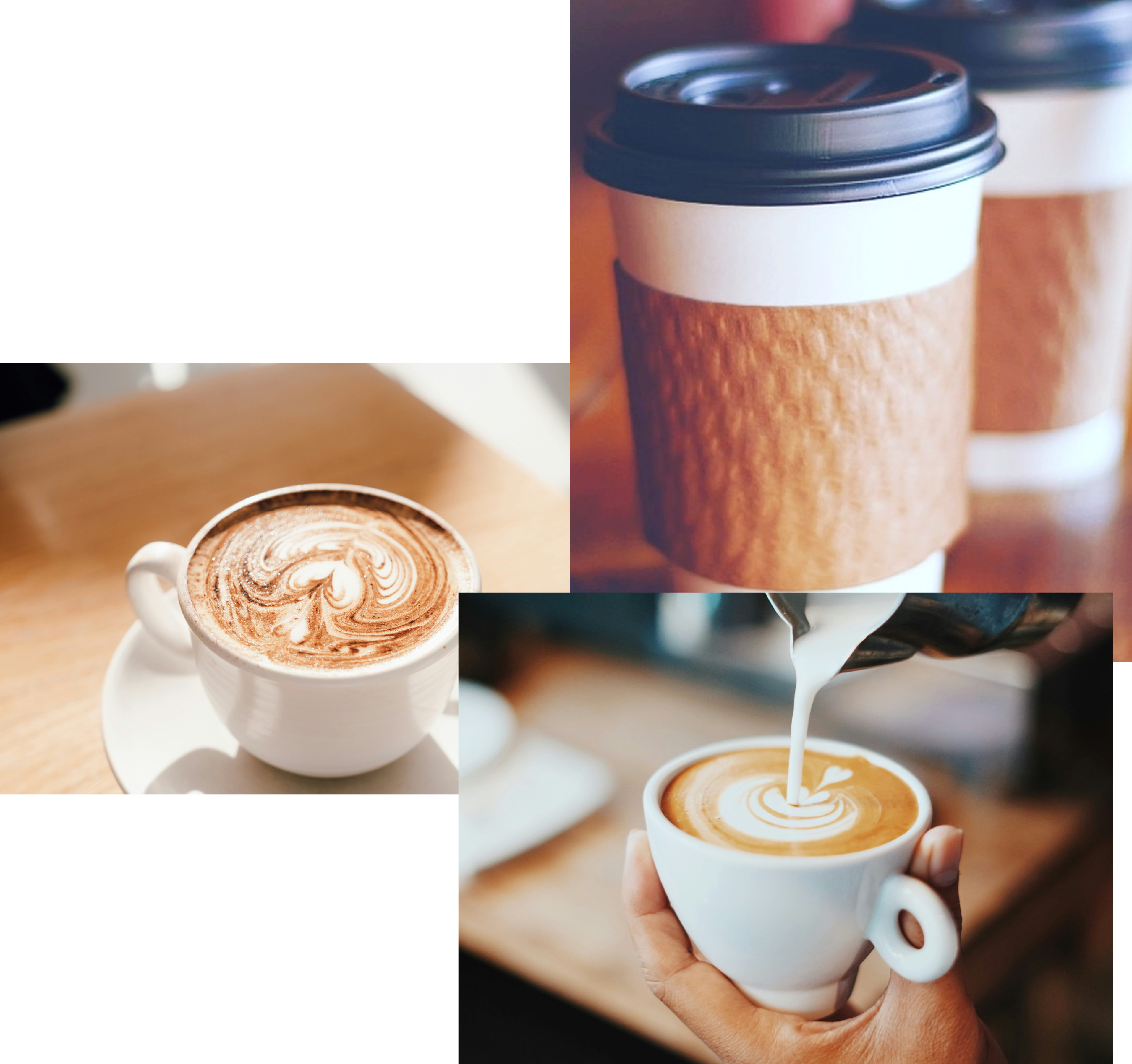 coffee seed, a cup of coffee & a mug of coffee